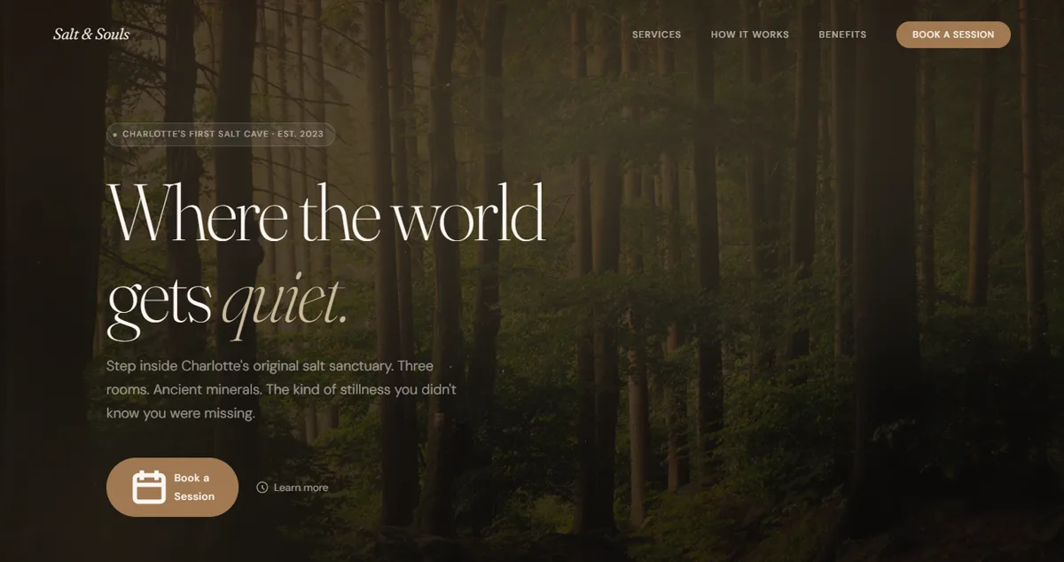 Salt and Souls homepage with a forest photo, the headline Where the world gets quiet, and a Book a Session button.